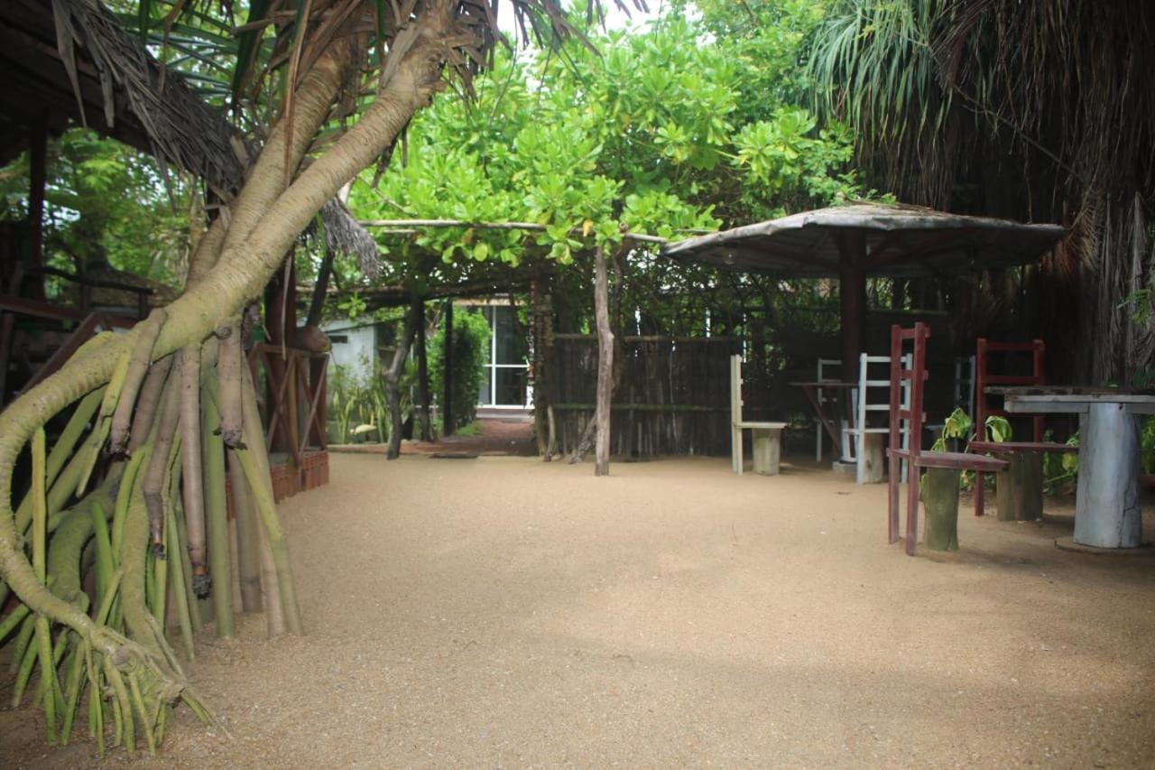 Happy Cocos Beach House Waskaduwa Exteriér fotografie