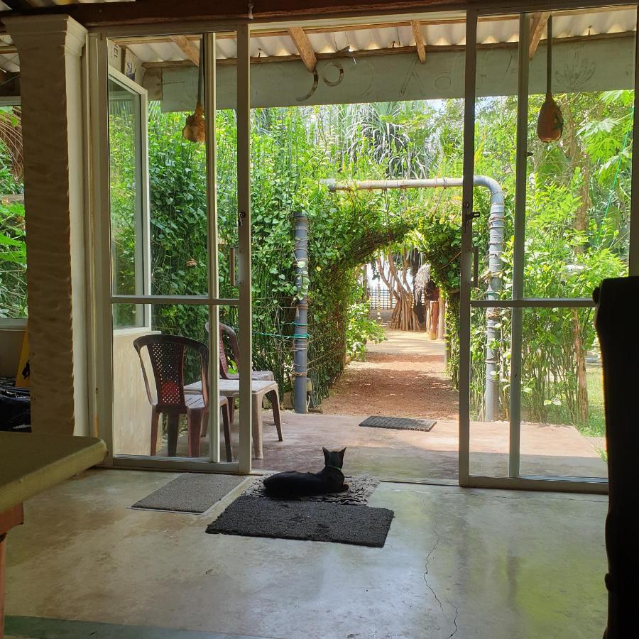 Happy Cocos Beach House Waskaduwa Exteriér fotografie
